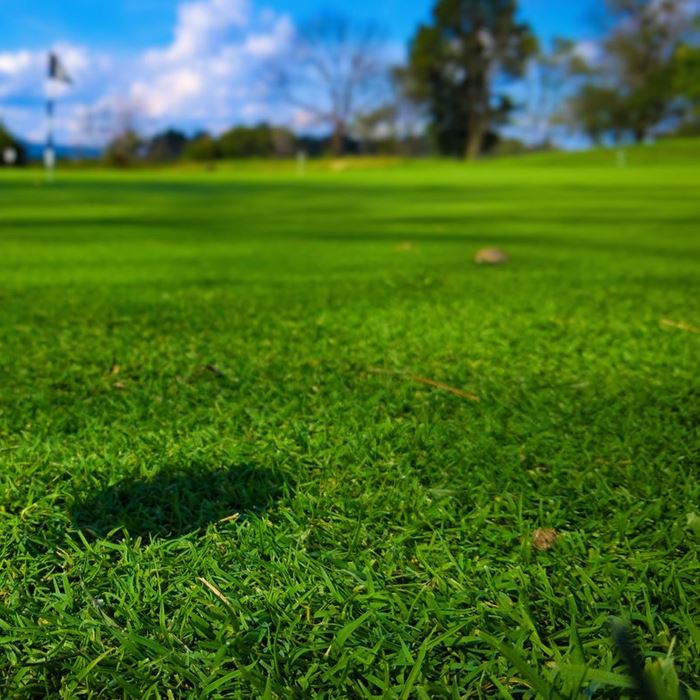 Bright green fairway leading to a flag under a blue sky with clouds
